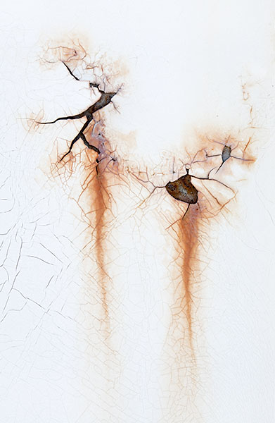 JANVIER - THE WRECKING YARD PROJECT
