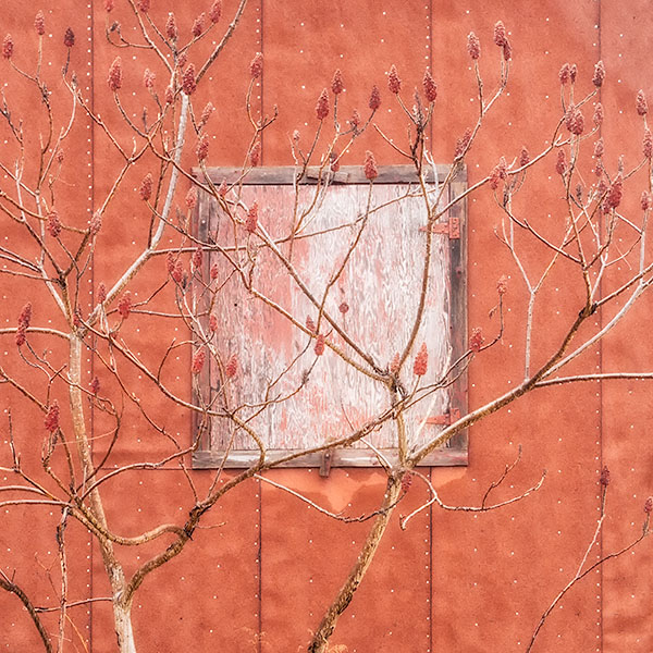 #21 - KILNS OF NORFOLK COUNTY - LARRY's KILN GALLERY REVISITED