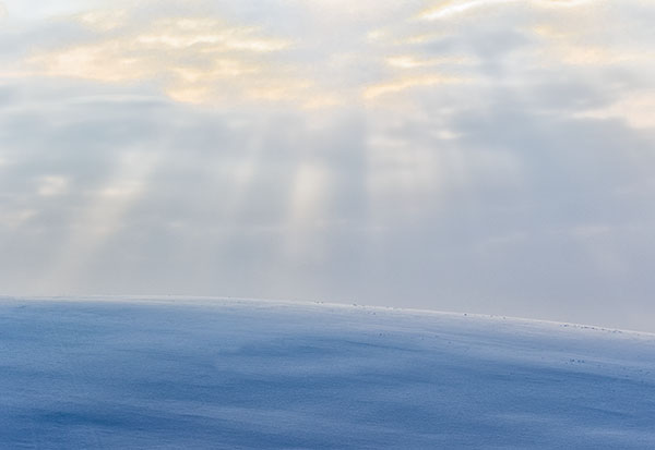 SERENITY - NORFOLK COUNTY - WINTER