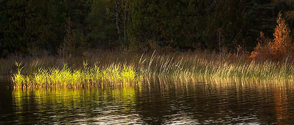 DORCAS BAY ROAD #2, 2017 - BRUCE COUNTY - OCTOBER 2017
