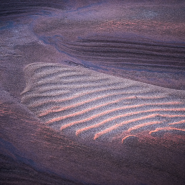 LATE LIGHT #3 - LONG POINT BEACH - DETAILS