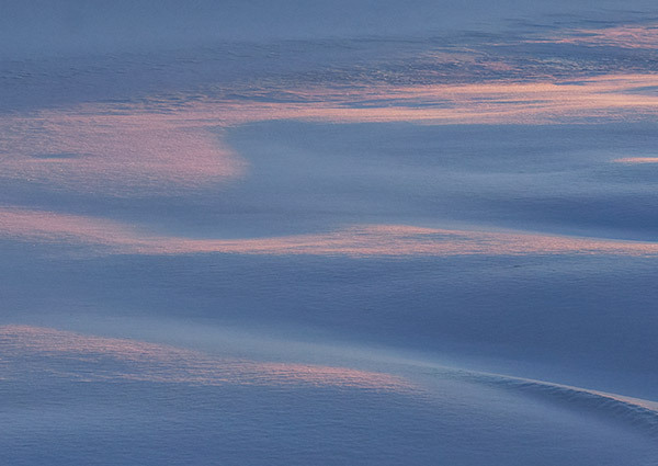 FRIGID - New Works