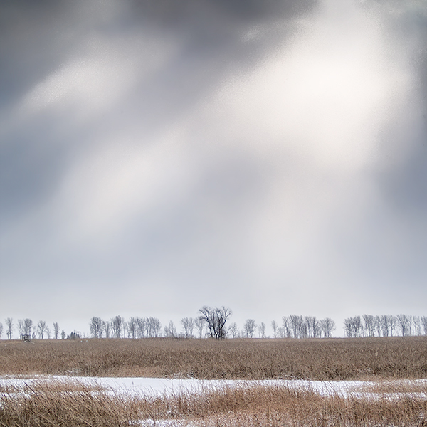 SNOW SQUALL #2, LAKE ERIE - NORFOLK COUNTY - THE MARSH