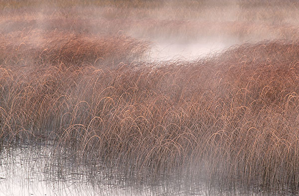 SKY LAKE - BRUCE COUNTY, ONTARIO - THE LAND