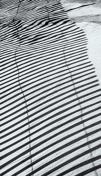 SAND FENCE SHADOW, 2015 - LONG POINT BEACH - SNOW/SAND FENCES, LONG POINT