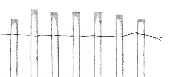 Loose Ends--Long Point Beach - New Works