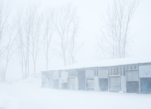 BLIZZARD 2, 2019 - LONG POINT - AT HOME