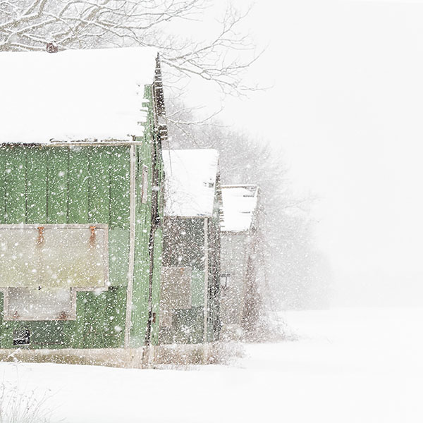 GREEN KILNS IN FALLING SNOW - NORFOLK COUNTY - LARRY'S 2017 TENSET