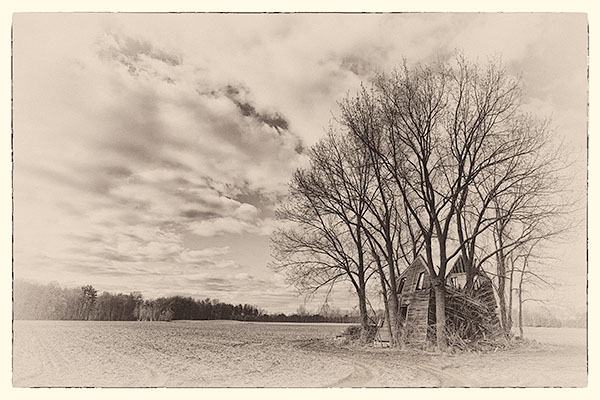 OVERGROWN - NORFOLK COUNTY - LARRY'S TENSET, 2014