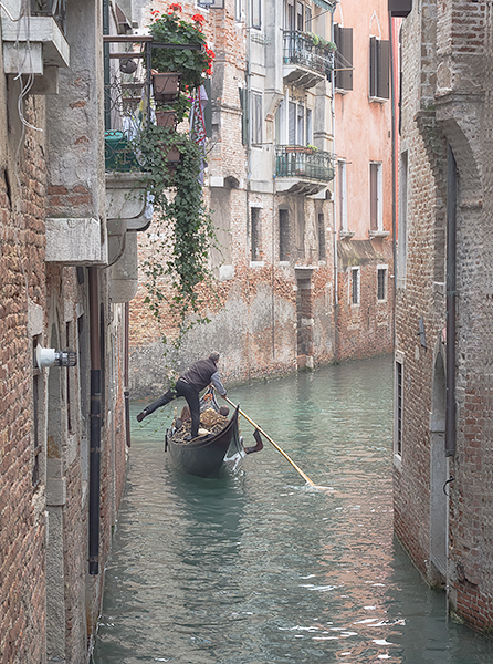 THE KICK - VENICE - VENICE IN COLOUR