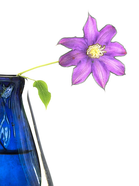 CLEMATIS IN BLUE VASE - FLORAL EXPRESSIONS