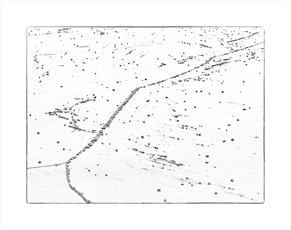 FROST FLOWERS - PORT RYERSE - PHOTO STORAGE