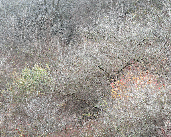 NOVEMBER HILLSIDE, 2017 - NORFOLK COUNTY - AUTUMN