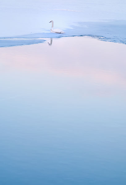 WINTER SWAN - PORT RYERSE - PORT RYERSE
