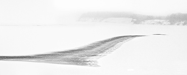 FEBRUARY SNOWSTORM - PORT RYERSE - B&W - IN THE COUNTRY