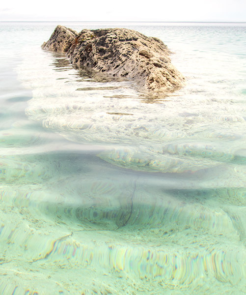 Lion's Head #5 - From My Kayak 2026