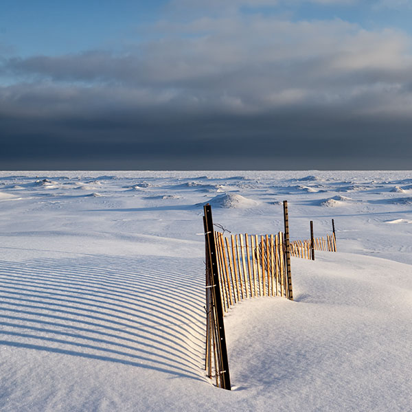 SAND FENCE #2, FEBRUARY, 2015 - LONG POINT BEACH - SNOW/SAND FENCES, LONG POINT