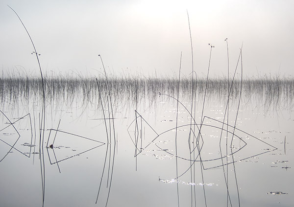 Issac Lake #2-September - New Works