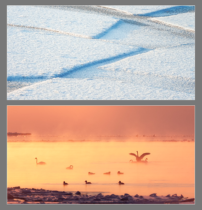H/S WEEK #51 - PHOTO STORAGE