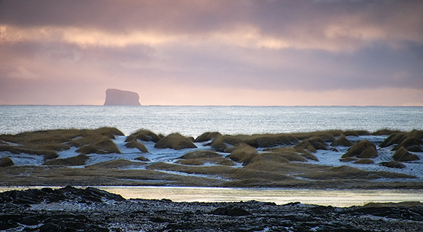 AFTERNOON LIGHT -  REYKJANES PENINSULA - ICELAND