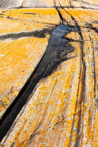 ROCK STUDY #3 - FRANKLIN ISLAND - FRANKLIN ISLAND, NORTH -  GEORGIAN BAY