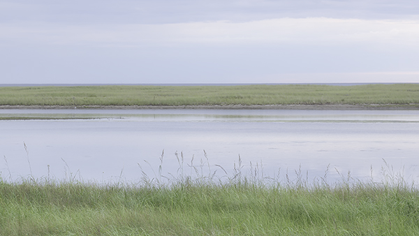 KOUCHIBOUGUAC NP #3 - NEW BRUNSWICK - NEW BRUNSWICK, 2017