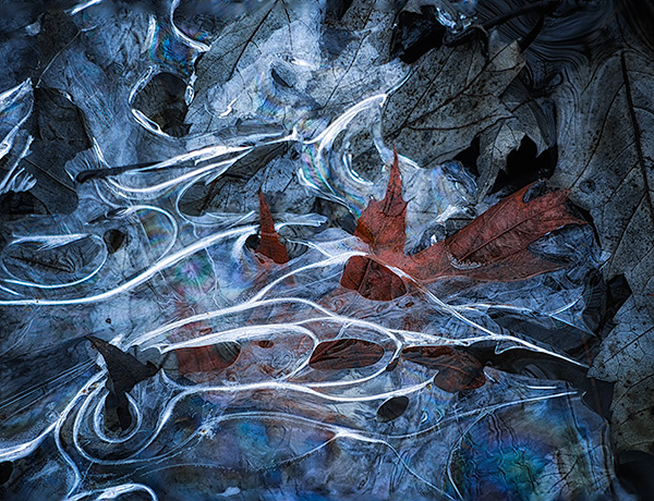 UNDER ICE #8 - NORFOLK COUNTY - BACKUS WOODS- NORFOLK COUNTY