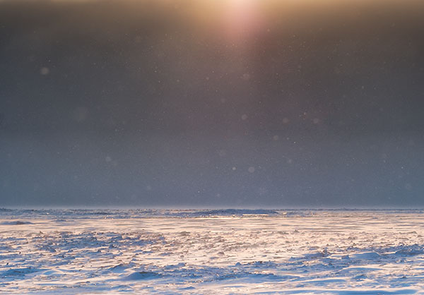 WINTER STORM LIGHT - LONG POINT - WINTER