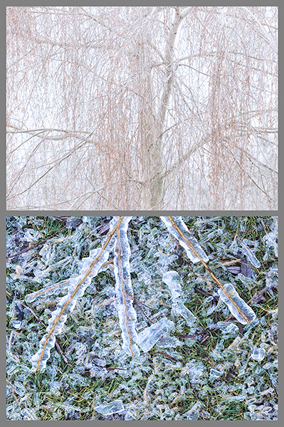 HE/SHE #20, 2019 - HE SAW/SHE SAW 2018-2019