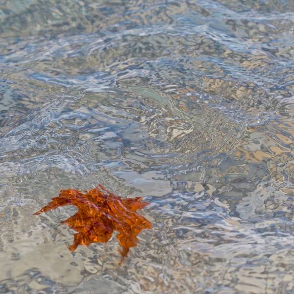 CARRIED AWAY #5 - OCTOBER, 2018 - THE BRUCE, OCTOBER 2018