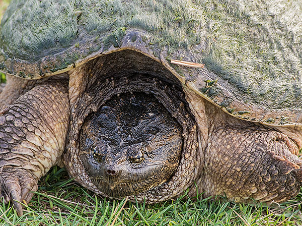 WEEK 32 - LARRY'S 52 WEEKS,2012 - LONG POINT