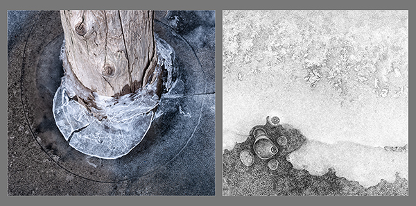 HE/SHE, 2015 #43 - PHOTO STORAGE