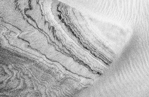 WIND BLOWN #2- LONG POINT BEACH - B&W