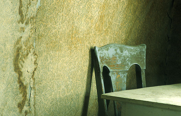 SOLO - BODIE - SMALLSCAPES