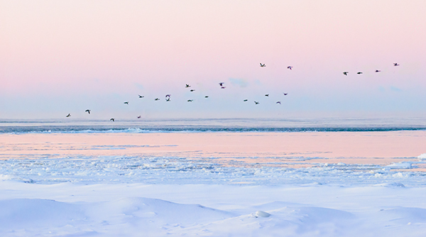 -16C  Port Dover Dawn - PHOTO STORAGE