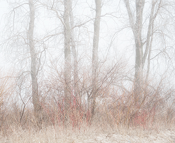 ICE FOG #2 - LONG POINT BEACH - WINTER