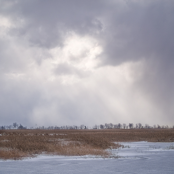 SNOW SQUALL #3, LAKE ERIE - NORFOLK COUNTY - THE MARSH