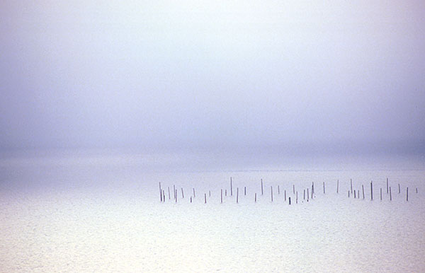 WEIR - GRAND MANAN ISLAND - BIGGERSCAPES