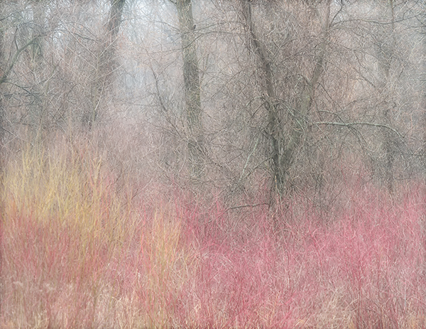 March, 2017 #1 - Norfolk County - SPRING