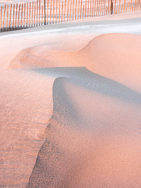 Fence and Sand--Morning Light - Sand Fences Of Long Point Beach