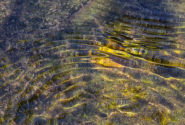 Sun on the Crane River - Bruce Peninsula - THE BRUCE, JUNE 2018