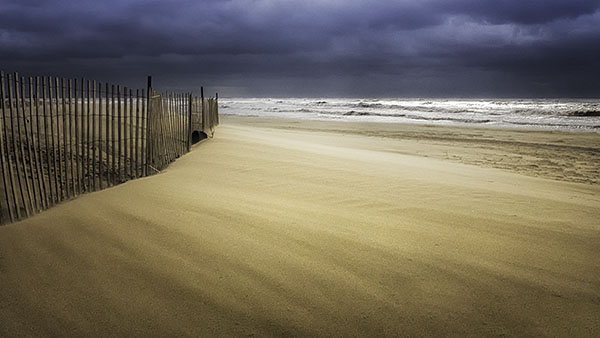 NOVEMBER LIGHT - LONG POINT BEACH - SNOW/SAND FENCES, LONG POINT