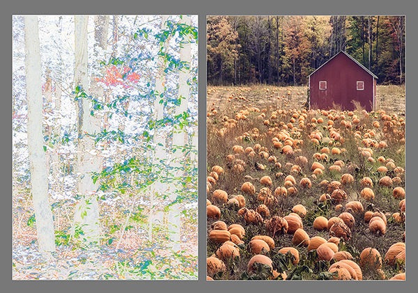 HE/SHE, 2015 #22 - PHOTO STORAGE