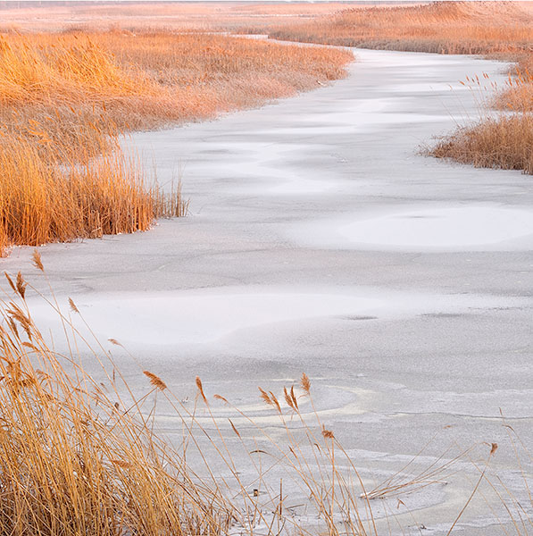 MARCH DAWN - BIG CREEK - PHOTO STORAGE
