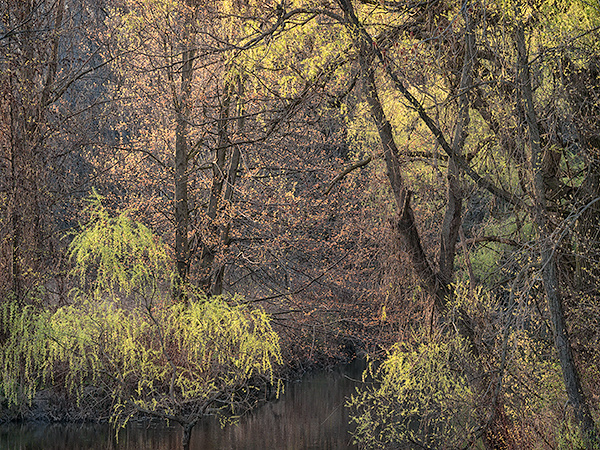 BIG CREEK IN SPRING - NORFOLK COUNTY - SPRING