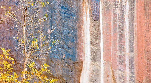 STRIPES - ZION NATIONAL PARK - THEREABOUTS