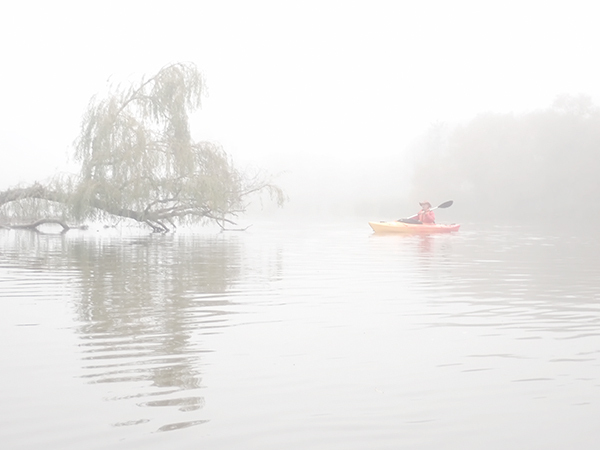Big Creek--October Fog - From My Kayak