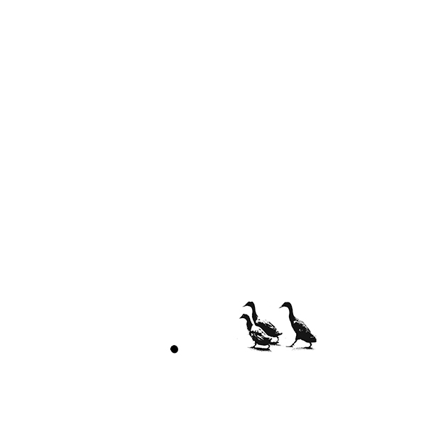 Play Ball - Avian Graphics