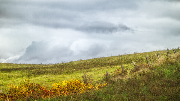 HILLSCAPE - BRANT COUNTY - KATHY'S TENSET, 2015
