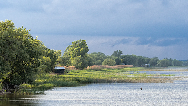 STORM LIGHT - LONG POINT - SUMMER